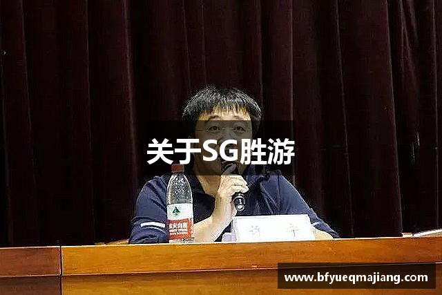 关于SG胜游